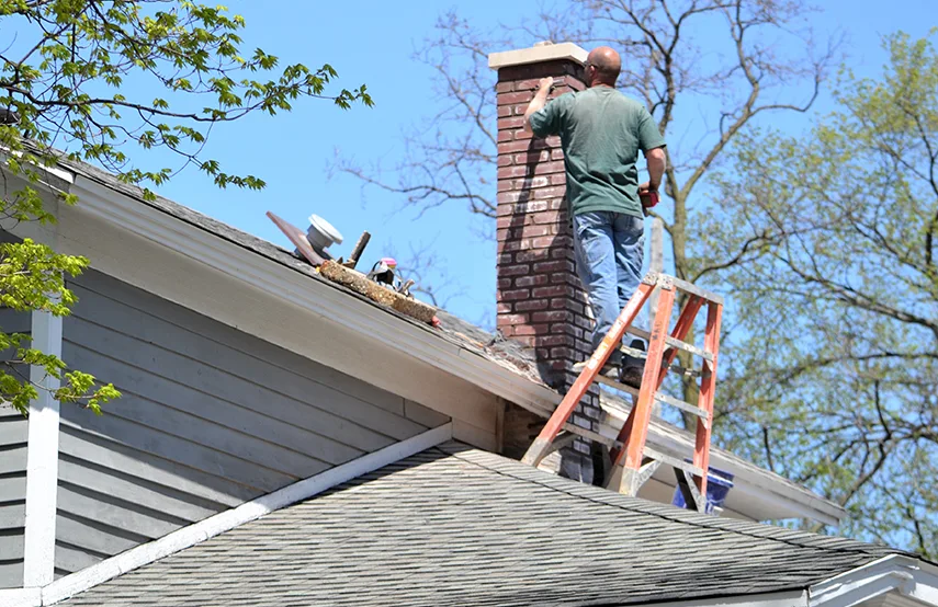 Chimney & Fireplace Inspections Services in Biddeford, ME